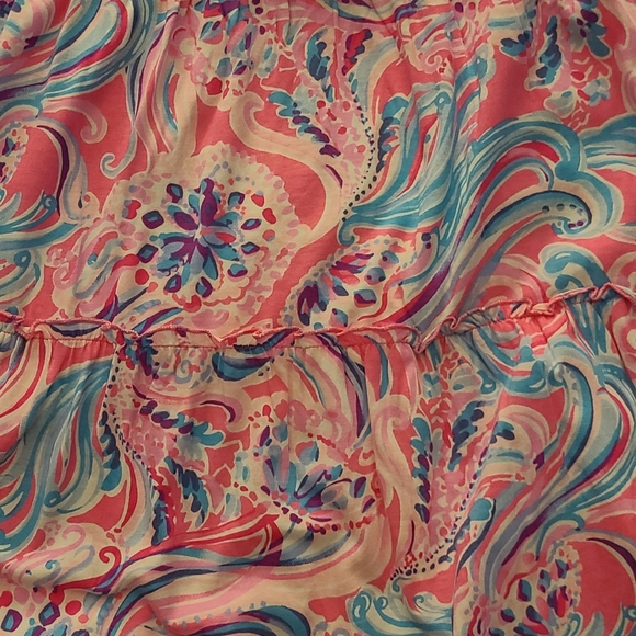 Lilly Pulitzer Evalyn Dress, XL - Picture 6 of 10